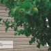 Сайдинг Ю-Пласт TIMBERBLOCK Пихта (Тимберблок) Cахалинская купить в Новочеркасске